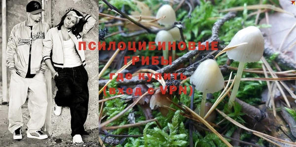 винт Белокуриха
