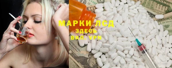 шишки Беломорск