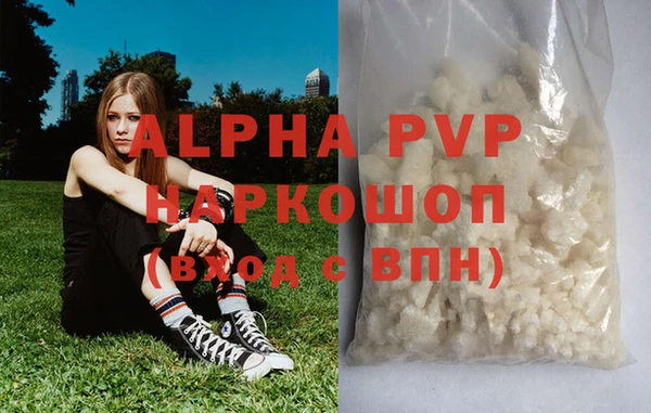 шишки Беломорск