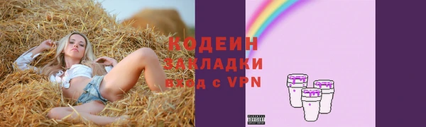 шишки Беломорск