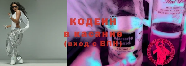 шишки Беломорск