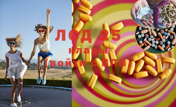 шишки Беломорск