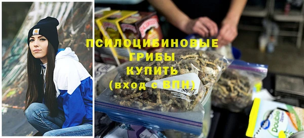 винт Белокуриха