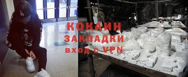 шишки Беломорск