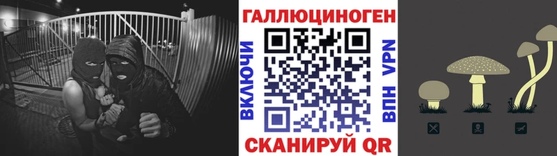 Галлюциногенные грибы Psilocybine cubensis  наркошоп  Бугульма 