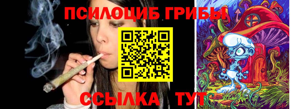 Бугульма  Псилоцибиновые грибы MAGIC MUSHROOMS  Вход с VPN 