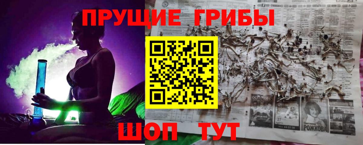 Галлюциногенные грибы Psilocybe Бугульма